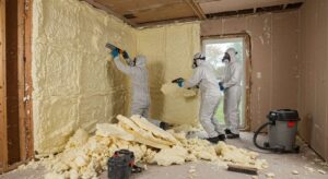 Insulation Removal